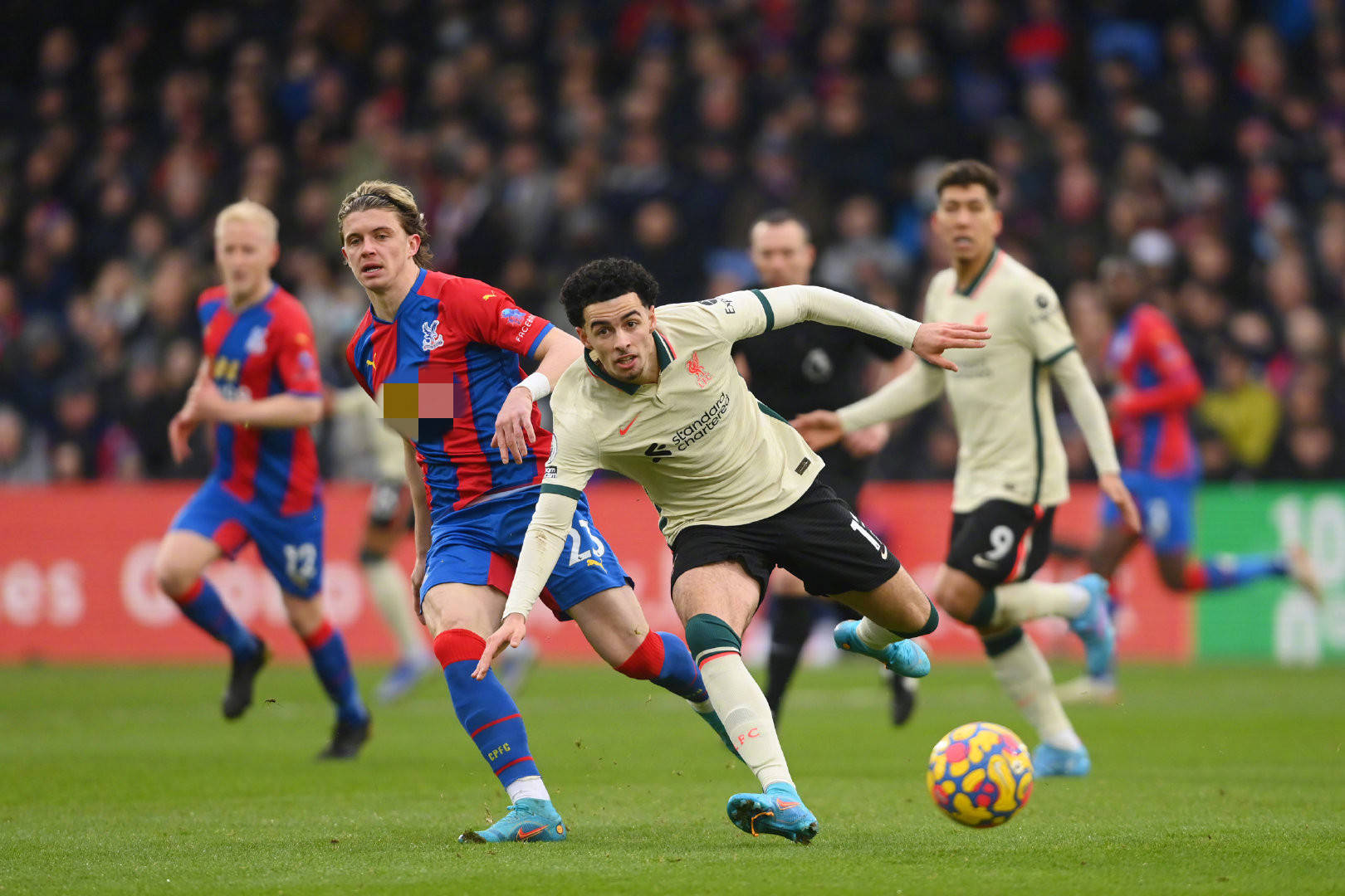 已有的市场 已有的市场